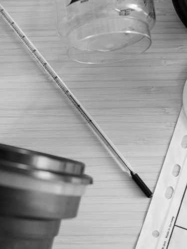 Atelier-developpement-noir-blanc