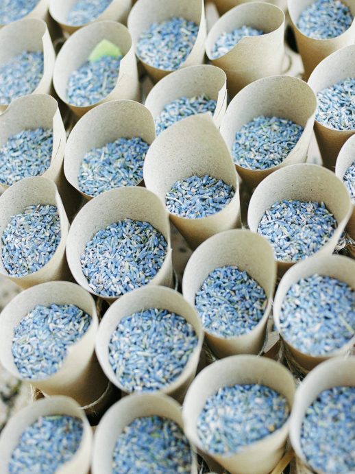 Pauline-Loic-wedding