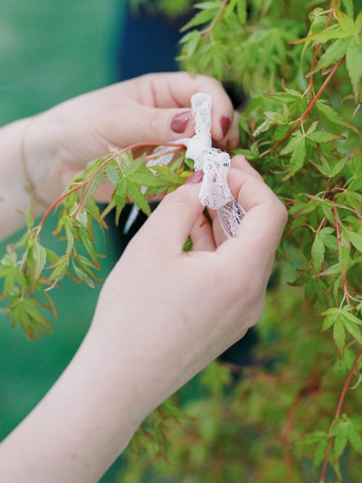Pauline-Loic-wedding