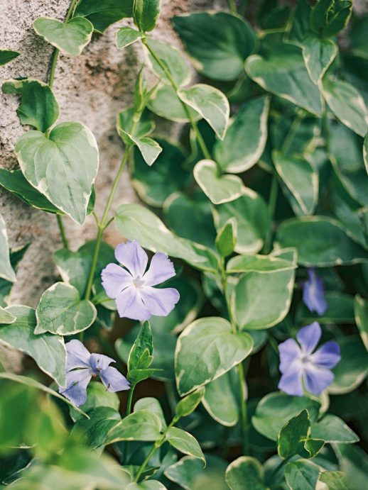 Pauline-Loic-wedding