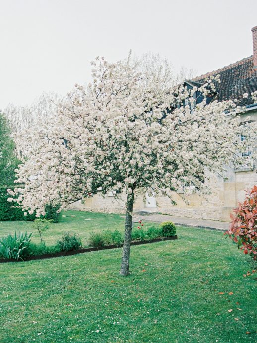 Pauline-Loic-wedding