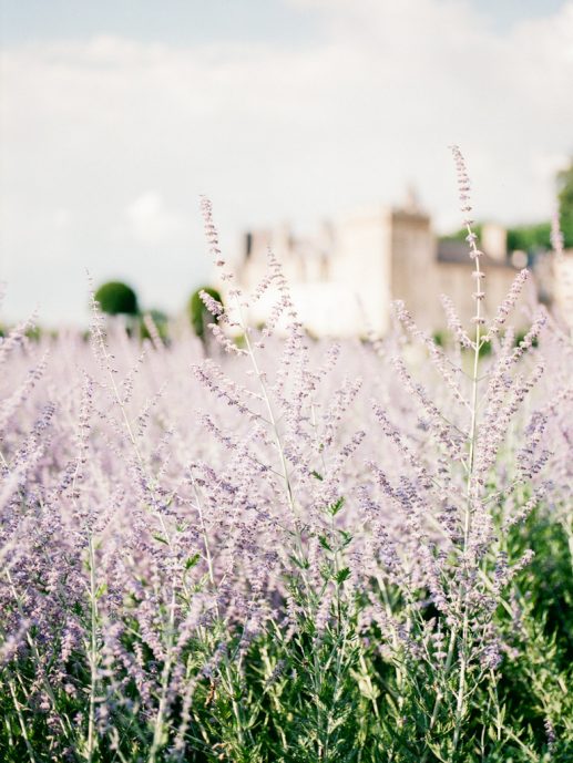 Villandry-venue-lavender